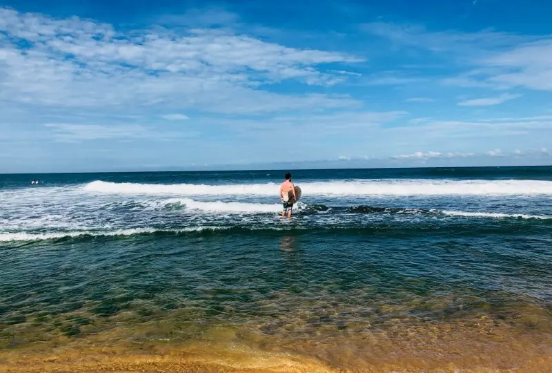 Whiskey Point Whiskey Point